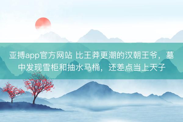 亚搏app官方网站 比王莽更潮的汉朝王爷，墓中发现雪柜和抽水马桶，还差点当上天子