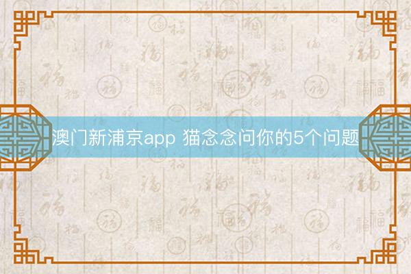 澳门新浦京app 猫念念问你的5个问题